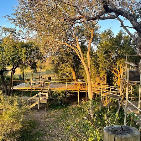 Rhino Walking Safaris Hotel Skukuza Ngoại thất bức ảnh