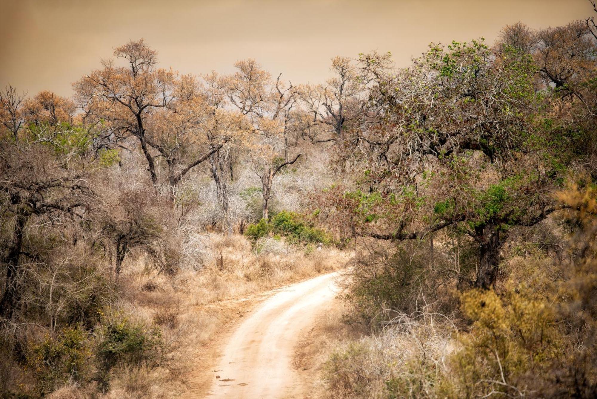 Rhino Walking Safaris Hotel Skukuza Ngoại thất bức ảnh