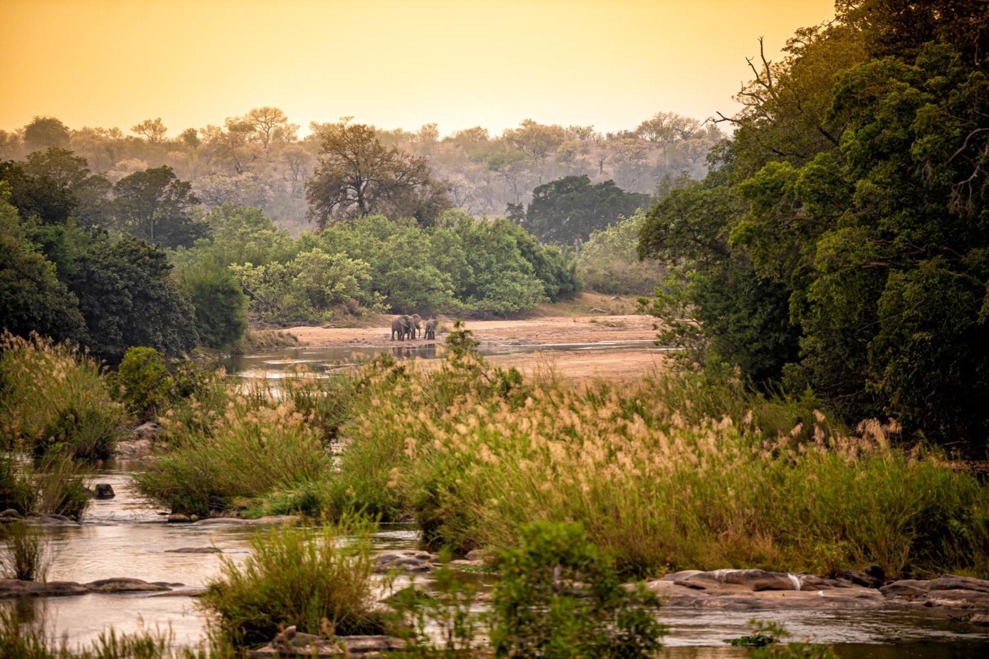 Rhino Walking Safaris Hotel Skukuza Ngoại thất bức ảnh