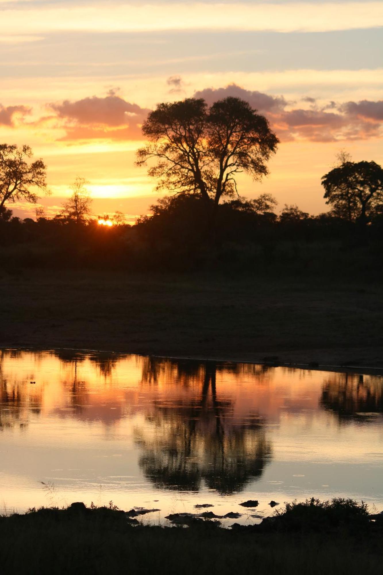 Rhino Walking Safaris Hotel Skukuza Ngoại thất bức ảnh