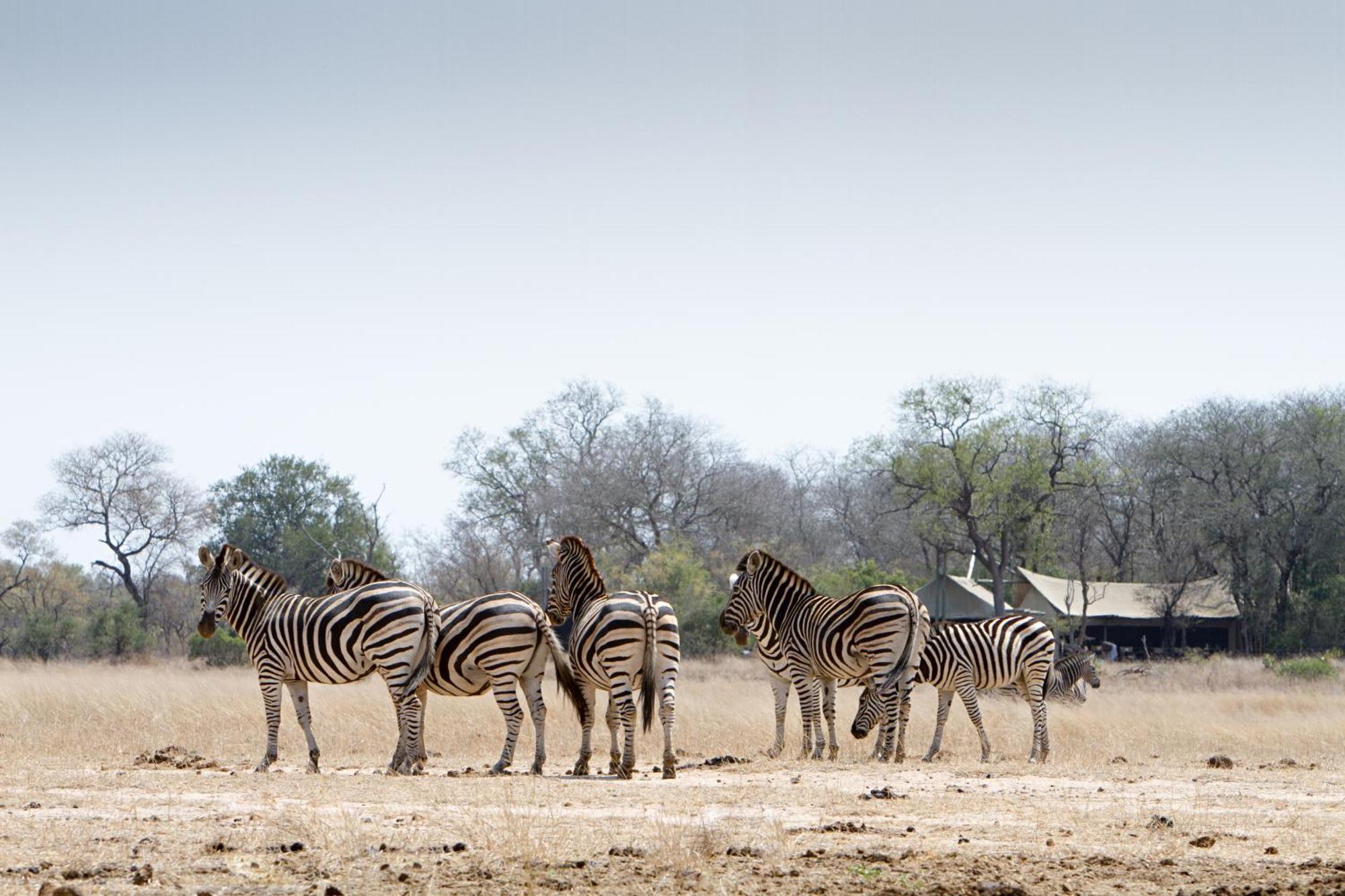 Rhino Walking Safaris Hotel Skukuza Ngoại thất bức ảnh