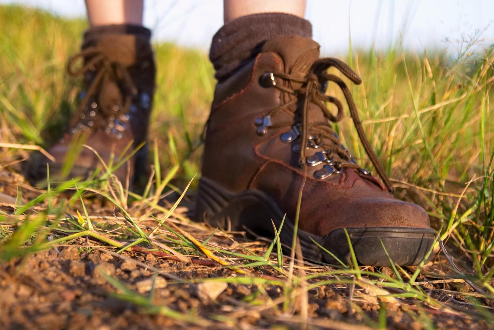 Rhino Walking Safaris Hotel Skukuza Ngoại thất bức ảnh