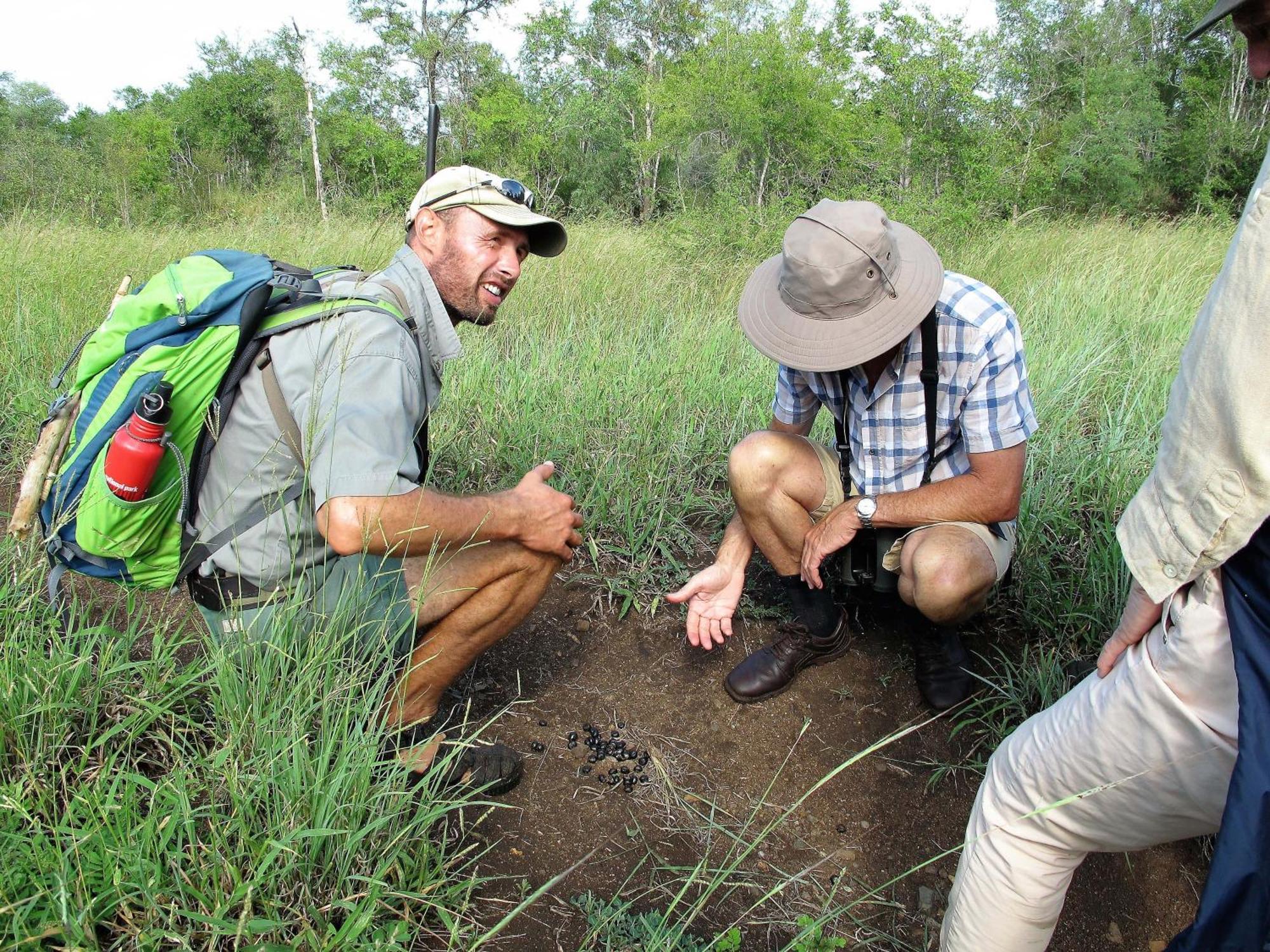 Rhino Walking Safaris Hotel Skukuza Ngoại thất bức ảnh