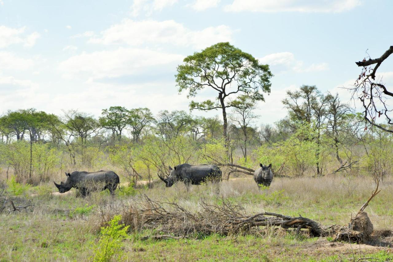 Rhino Walking Safaris Hotel Skukuza Ngoại thất bức ảnh